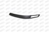 PRASCO VV0291243 Trim/Protective Strip, bumper